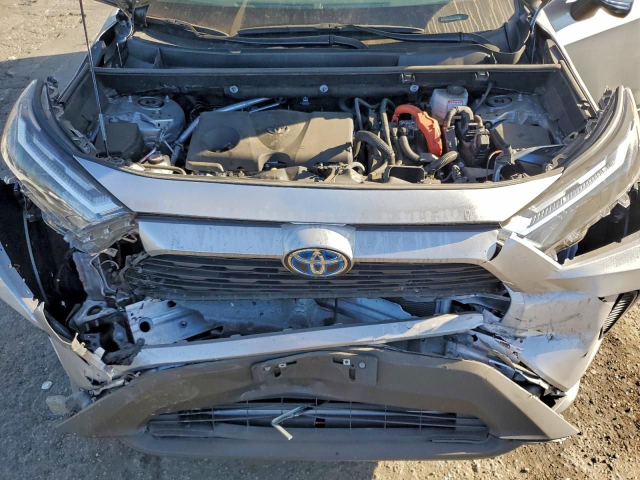 2024 Toyota Rav4 xle