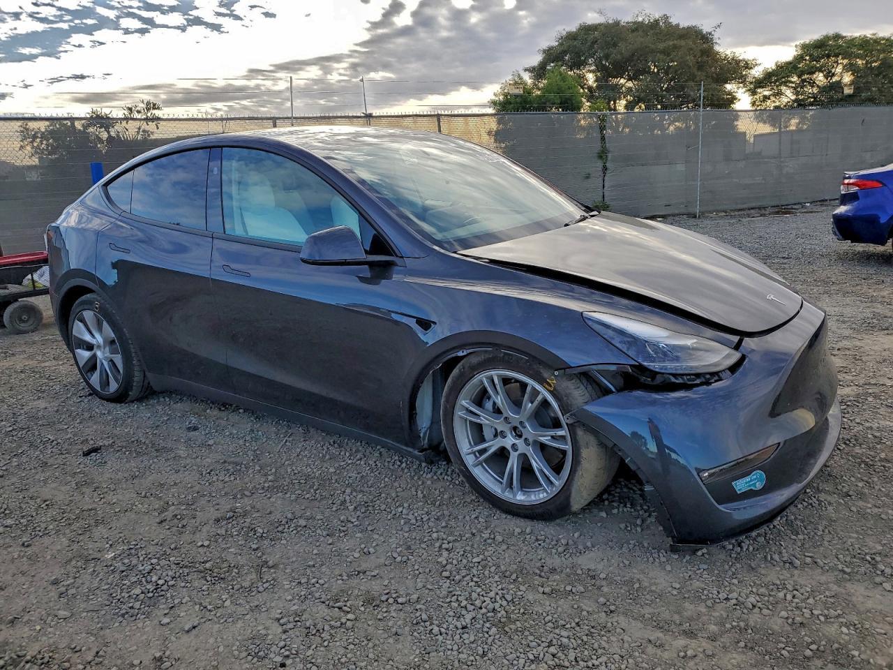 2025 Tesla Model y
