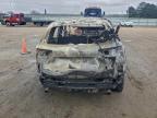 2024 Ford Escape st Line