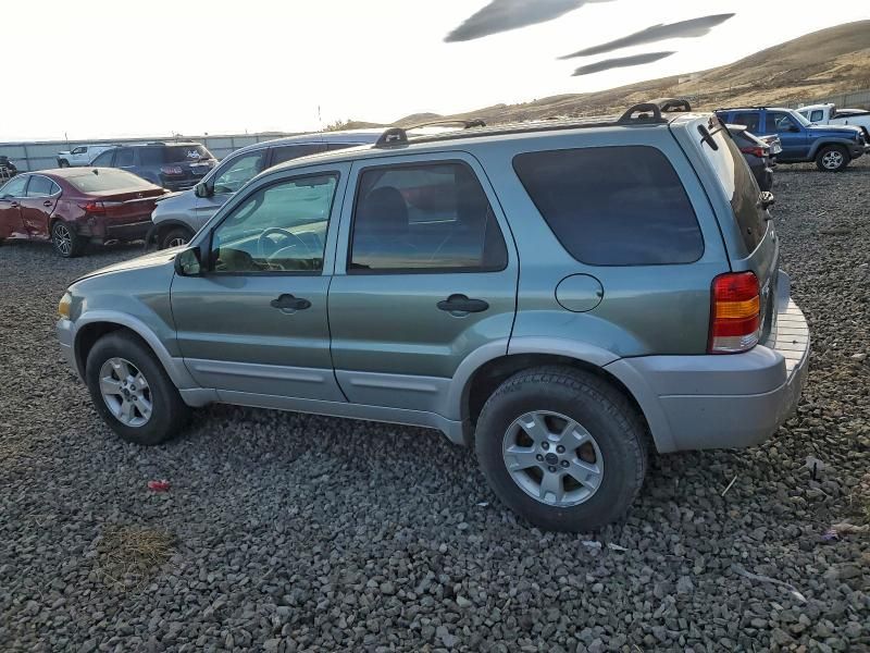 2007 Ford Escape xlt