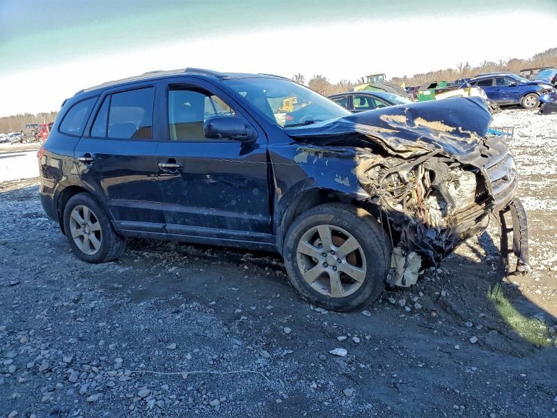 2007 Hyundai Santa fe se