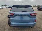 2024 Ford Escape st Line