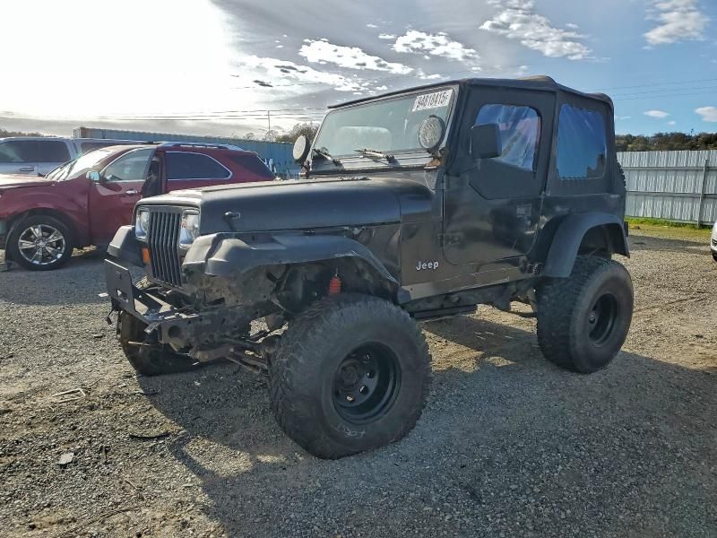 1991 Jeep Wrangler / yj Sahara