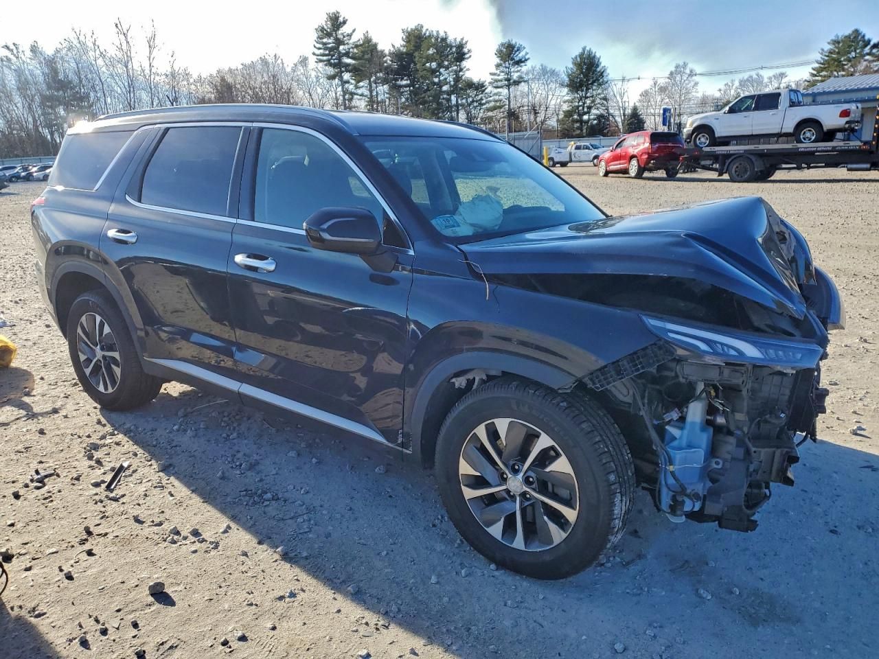 2020 Hyundai Palisade sel