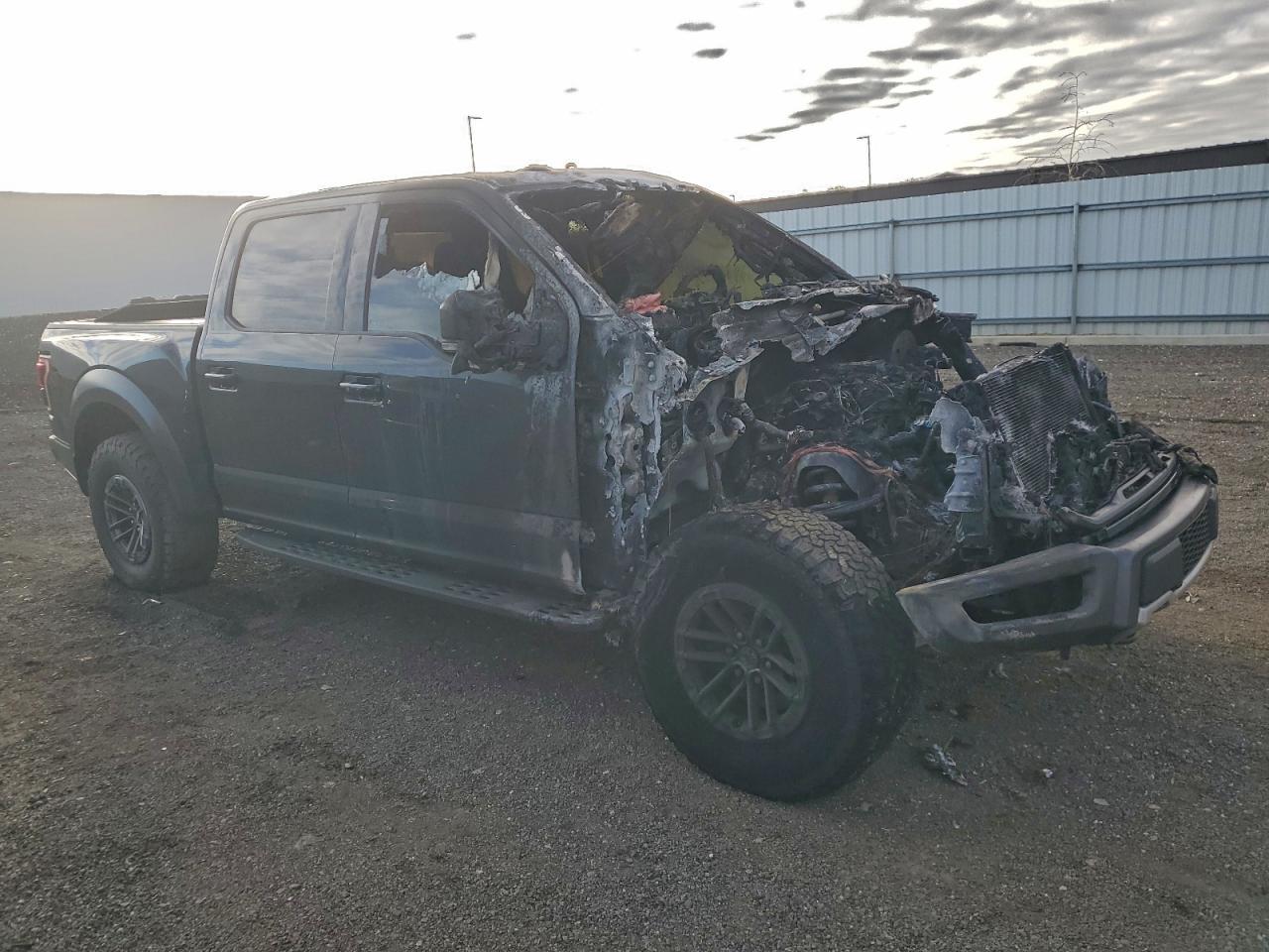 2019 Ford F150 Raptor