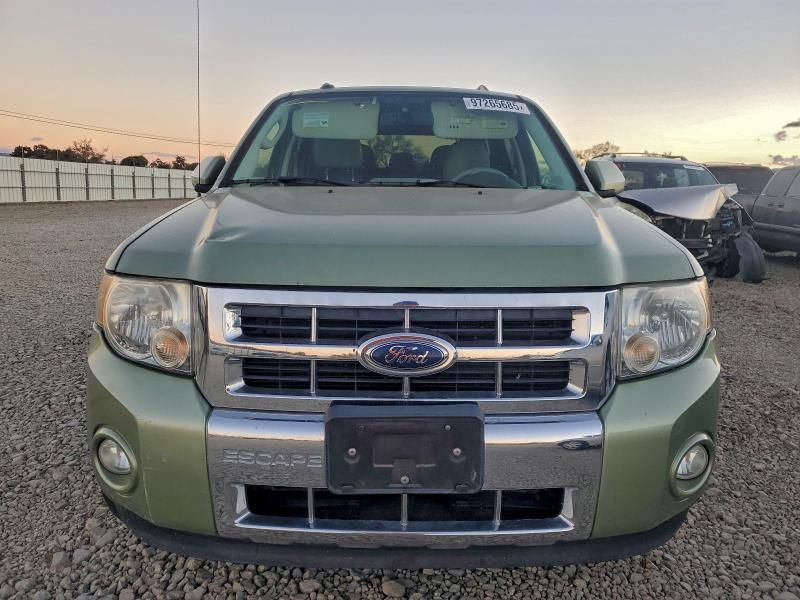 2010 Ford Escape Hybrid