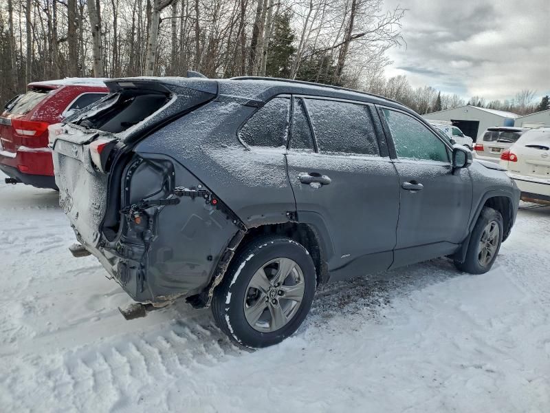 2024 Toyota Rav4 xle