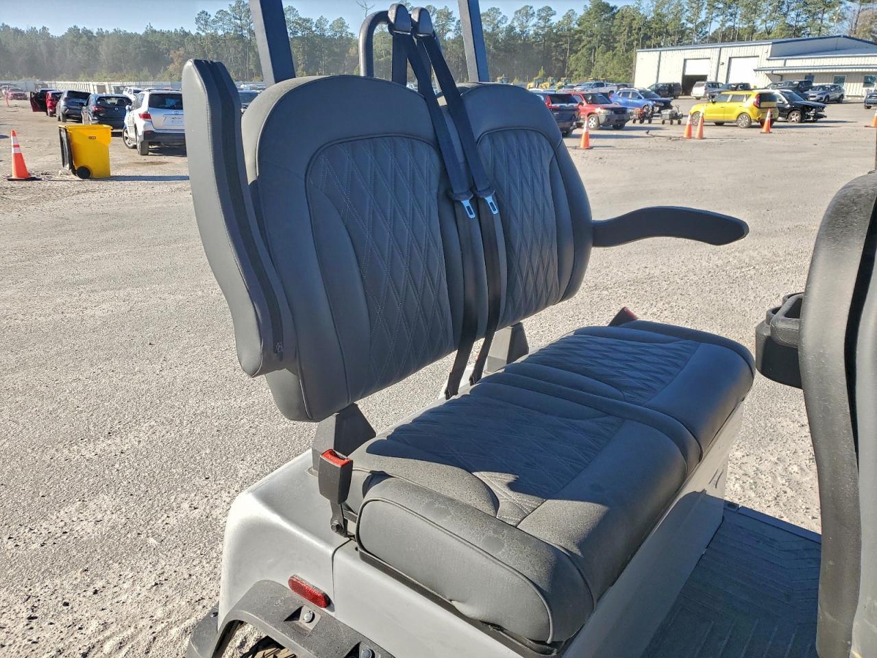 2024 Denago Ev Rover XL Golf Cart