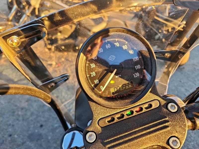 2022 Harley-Davidson XL883 N