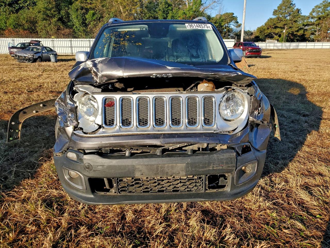 2017 Jeep Renegade Limited