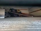 2006 Ford Econoline E450 Super Duty Cutaway Van