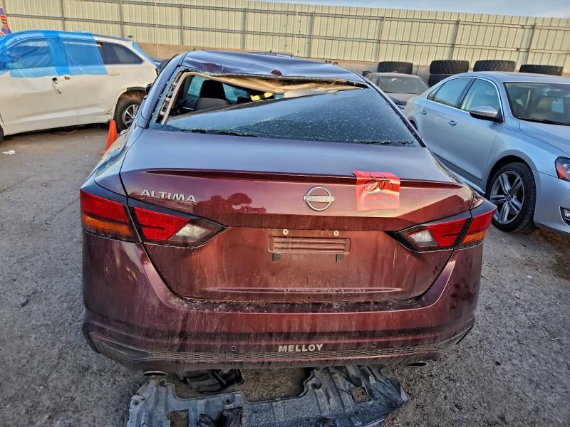 2025 Nissan Altima sv