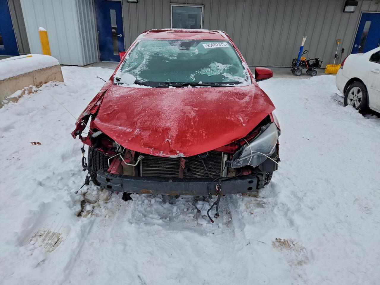 2019 Toyota Corolla l