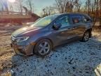 2020 Honda Odyssey exl