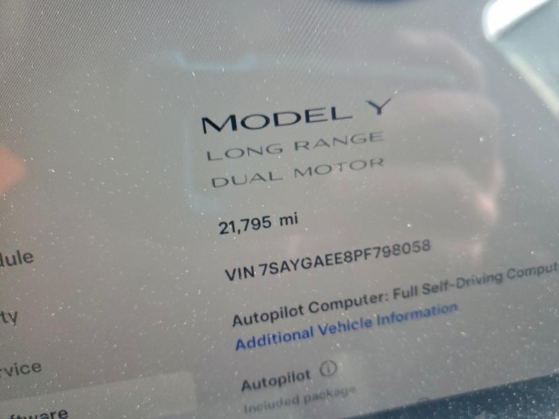 2023 Tesla Model y