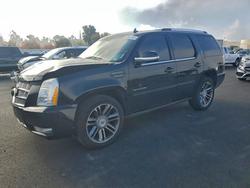 2014 Cadillac Escalade Premium for sale in Martinez, CA