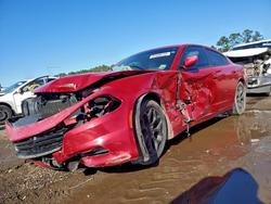 Dodge Vehiculos salvage en venta: 2016 Dodge Charger sxt
