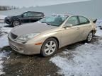 2006 Lexus Es 330