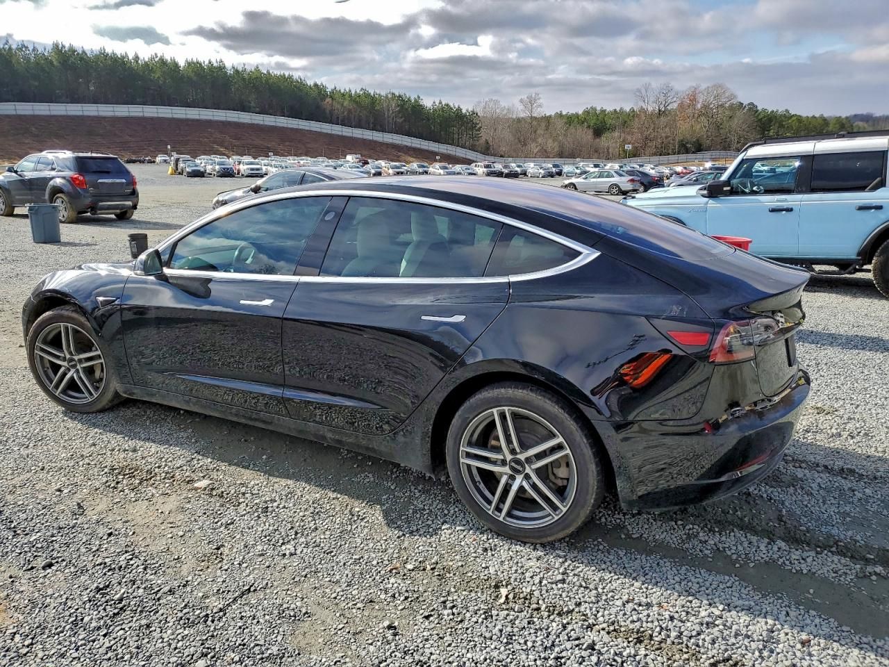 2019 Tesla Model 3