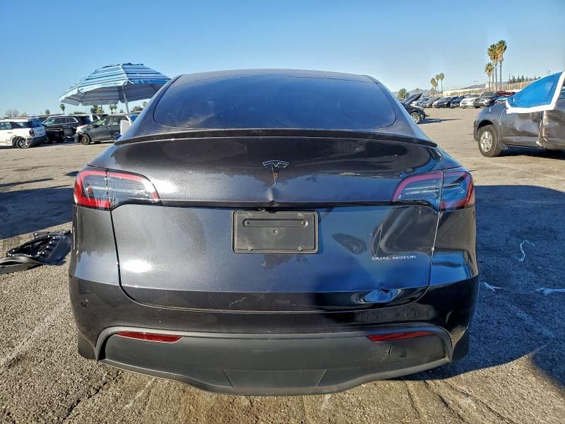 2025 Tesla Model y