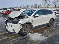 2026 Honda Cr-v exl for sale in Bridgeton, MO