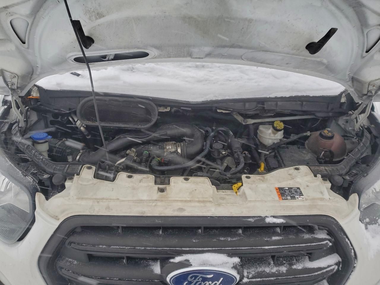 2020 Ford Transit 250 Delivery Van