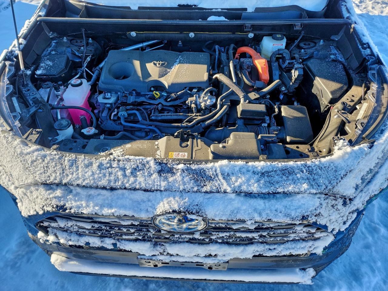 2024 Toyota Rav4 le