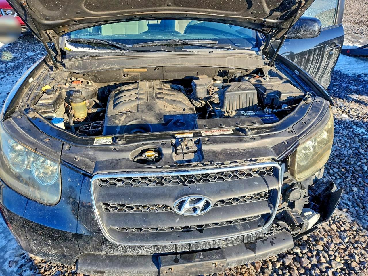 2009 Hyundai Santa fe se