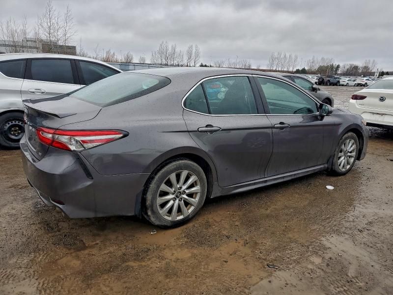 2019 Toyota Camry l