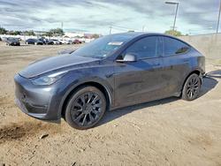Tesla salvage cars for sale: 2024 Tesla Model y