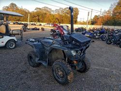 New arrivals for sale at auction: 2025 Honda Rancher ATV