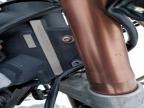 2009 Trum 2009 Triumph Daytona 675