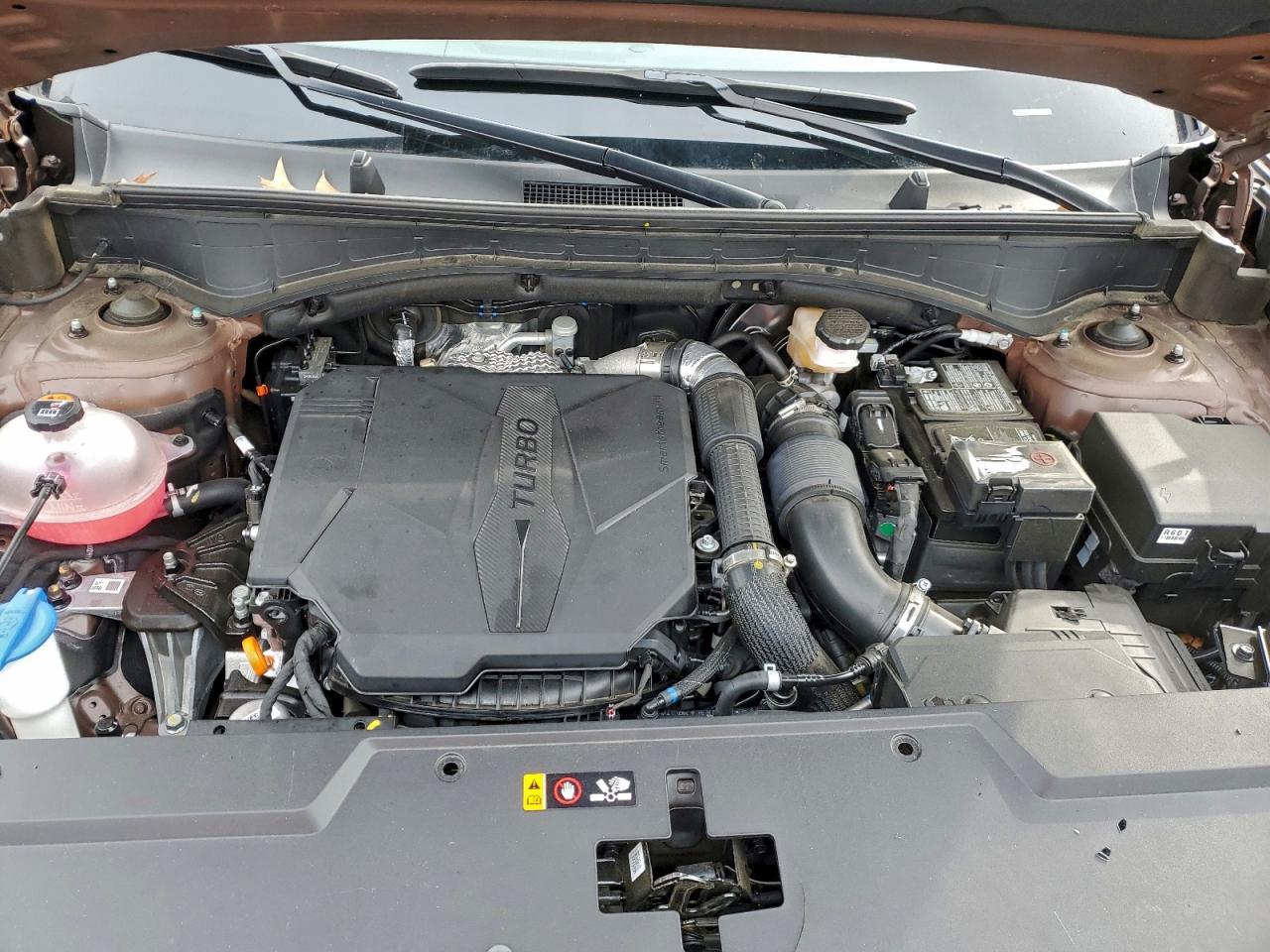 2025 Hyundai Santa fe Calligraphy