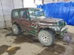 1995 Jeep Wrangler / yj Sahara