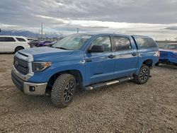 Salvage cars for sale from Copart Magna, UT: 2020 Toyota Tundra Crewmax SR5