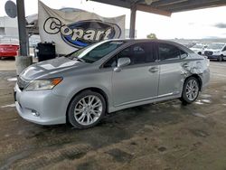 Lexus hs salvage cars for sale: 2010 Lexus Hs 250h