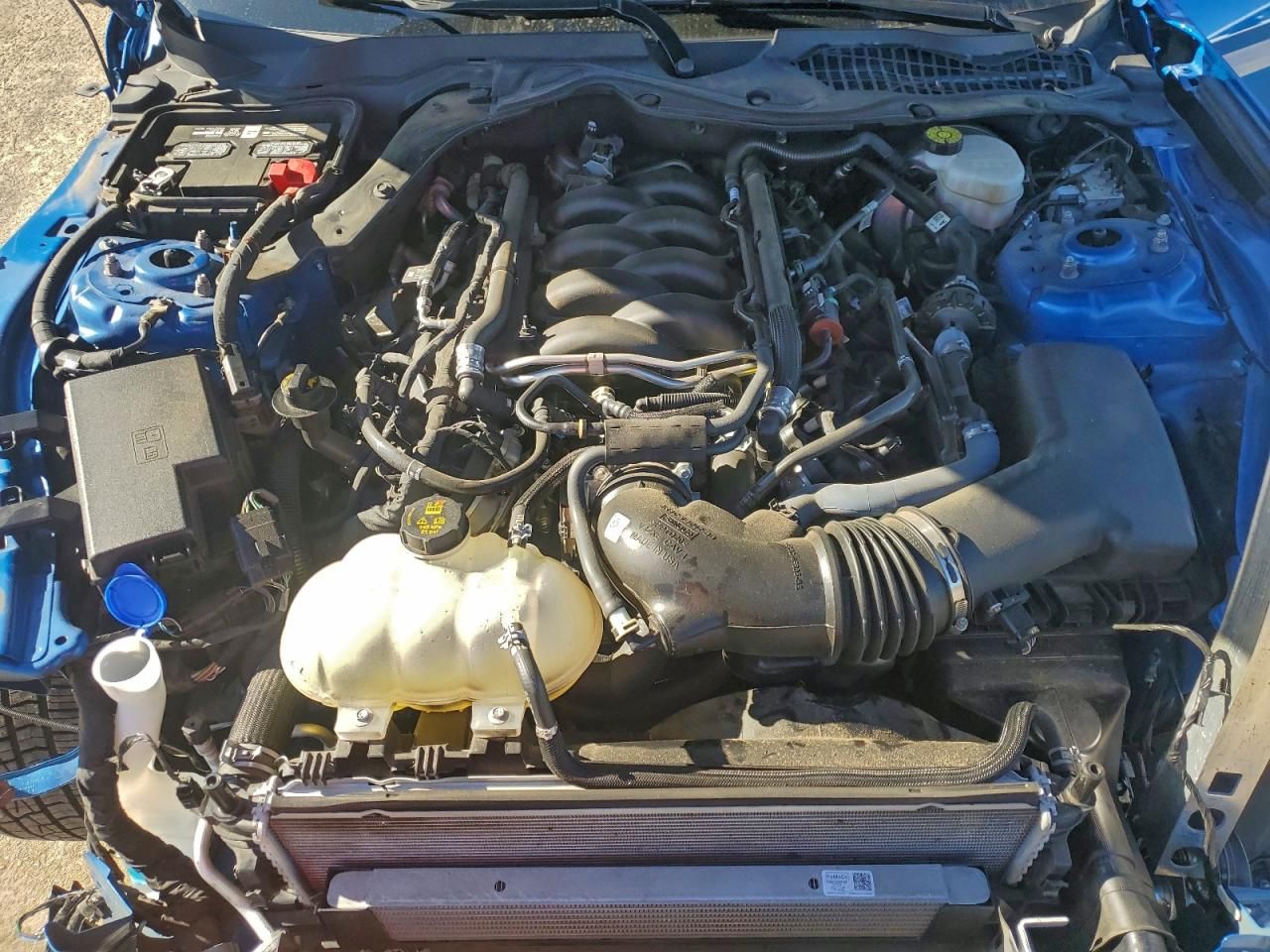 2021 Ford Mustang gt