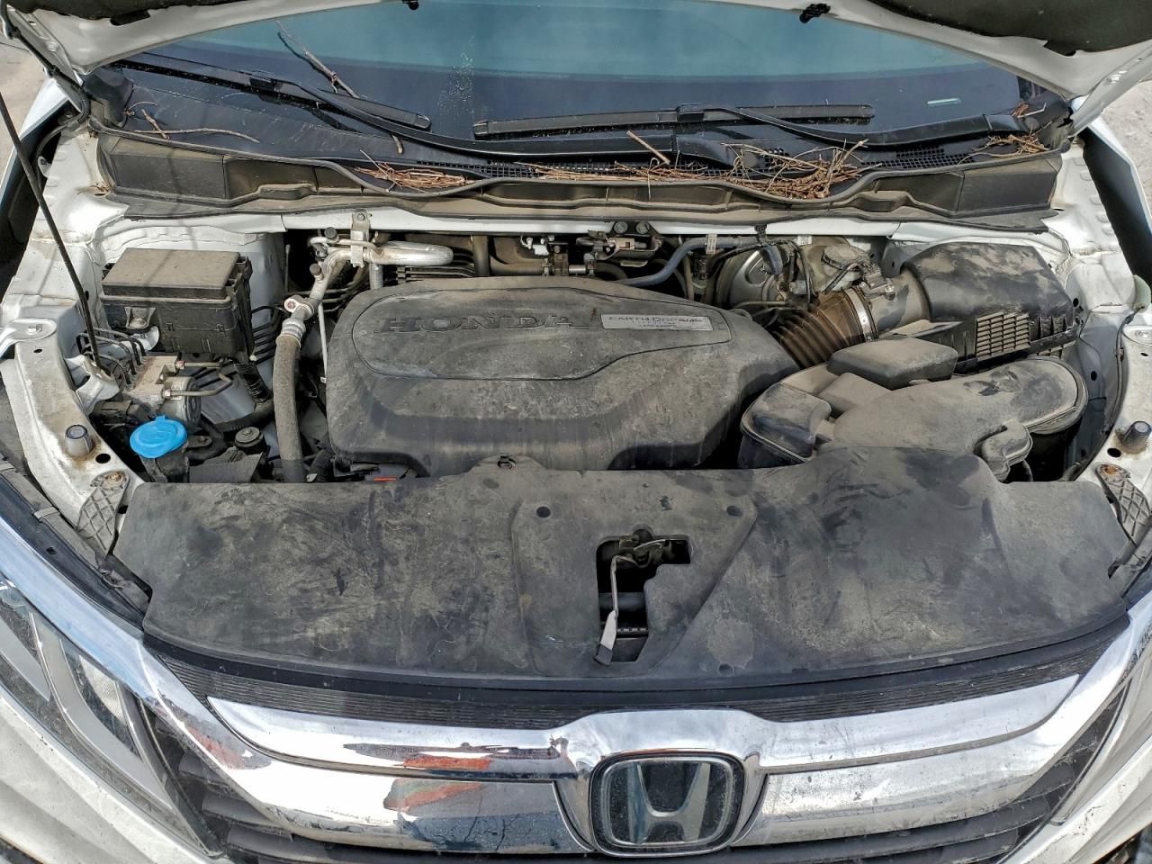 2020 Honda Odyssey exl