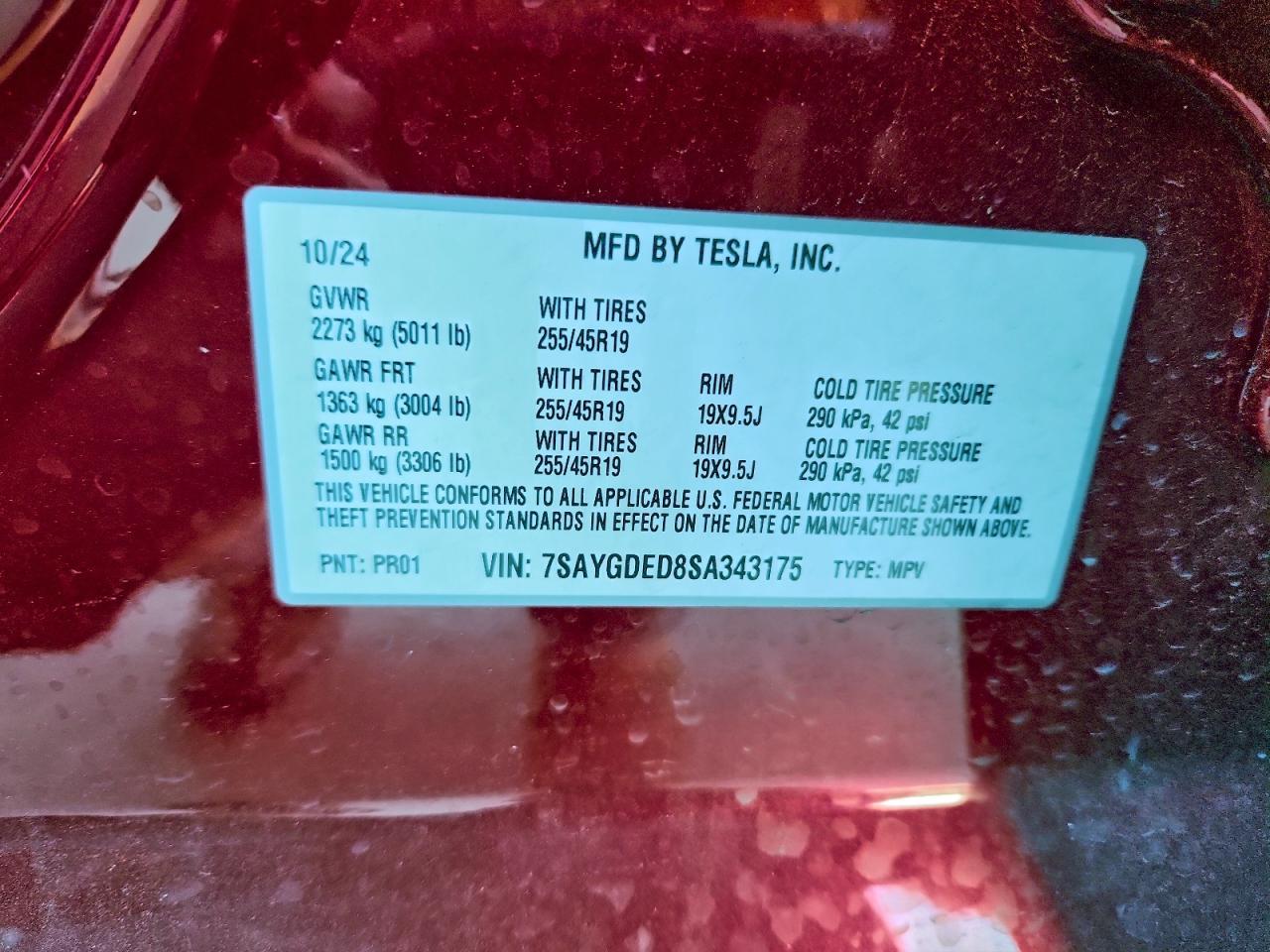 2025 Tesla Model y