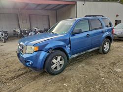 Ford Vehiculos salvage en venta: 2010 Ford Escape xlt