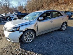KIA Vehiculos salvage en venta: 2010 KIA Forte sx