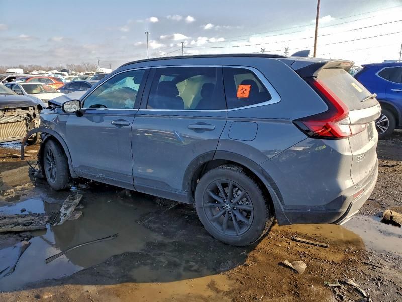 2024 Honda Cr-v Sport