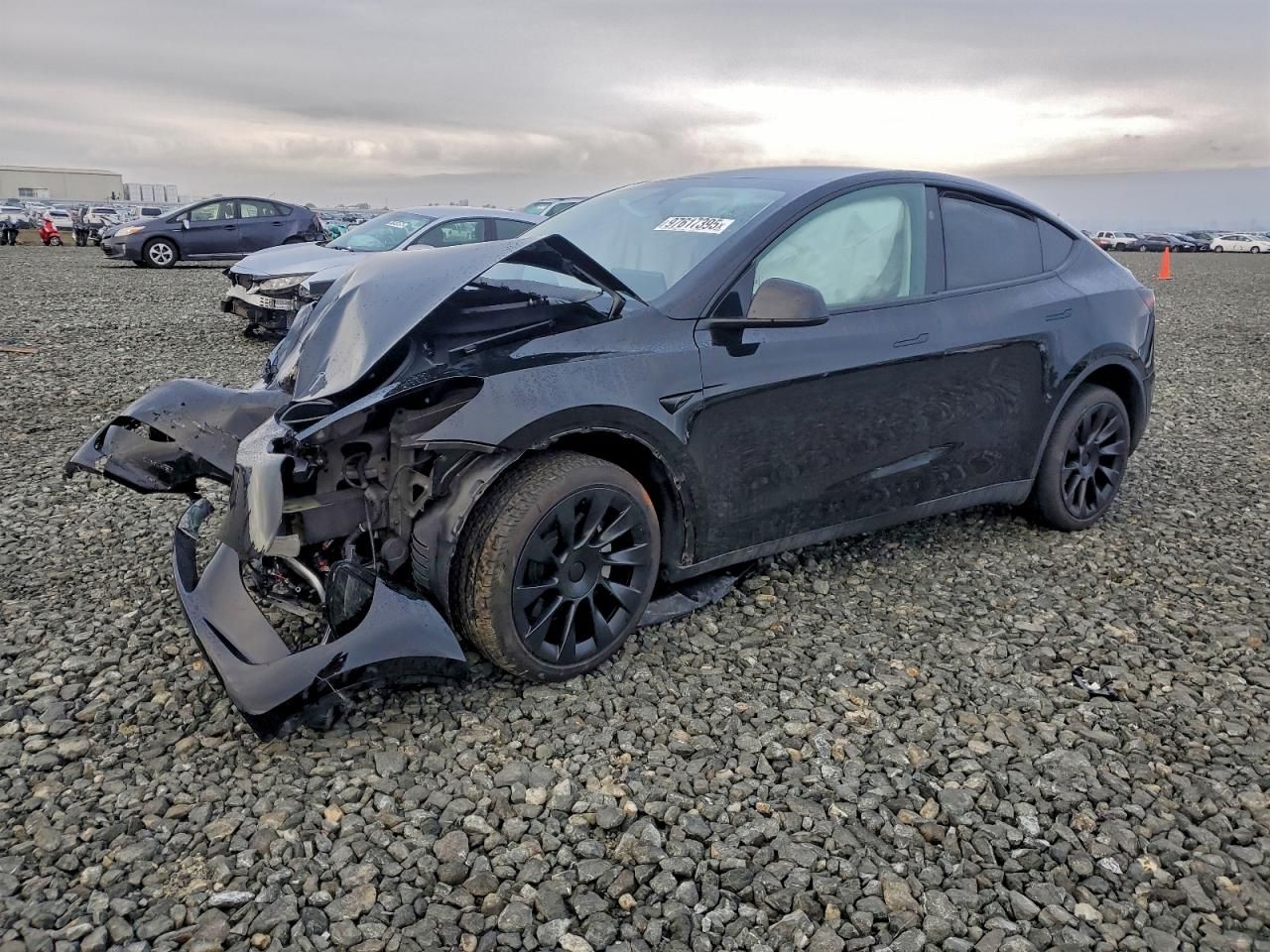 2024 Tesla Model y