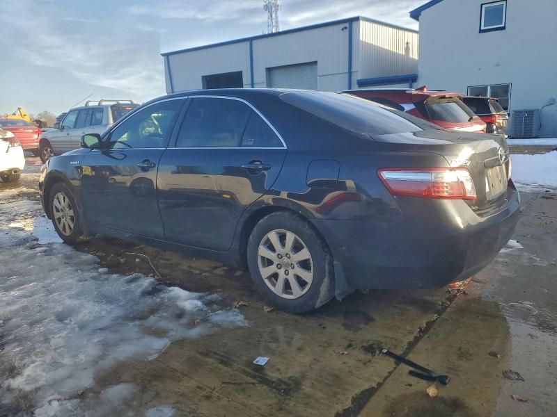 2009 Toyota Camry Hybrid