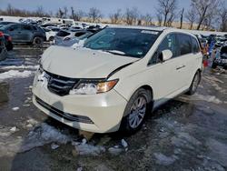 2017 Honda Odyssey exl for sale in Bridgeton, MO