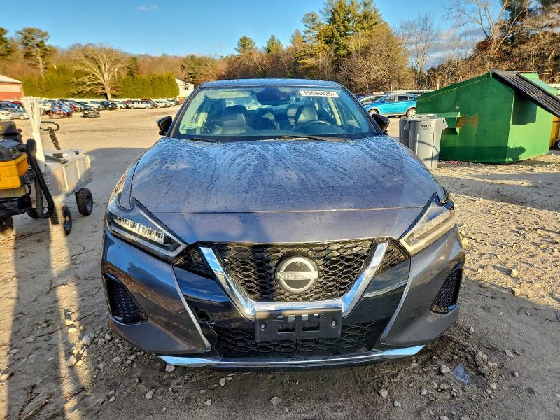 2023 Nissan Maxima sv