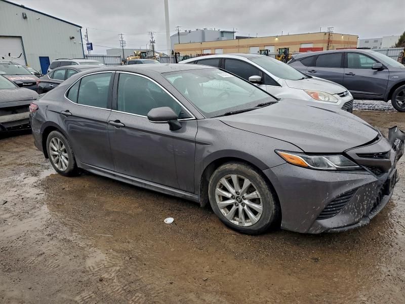 2019 Toyota Camry l