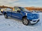 2023 Ford F150