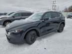 2023 Mazda Cx-5 Preferred