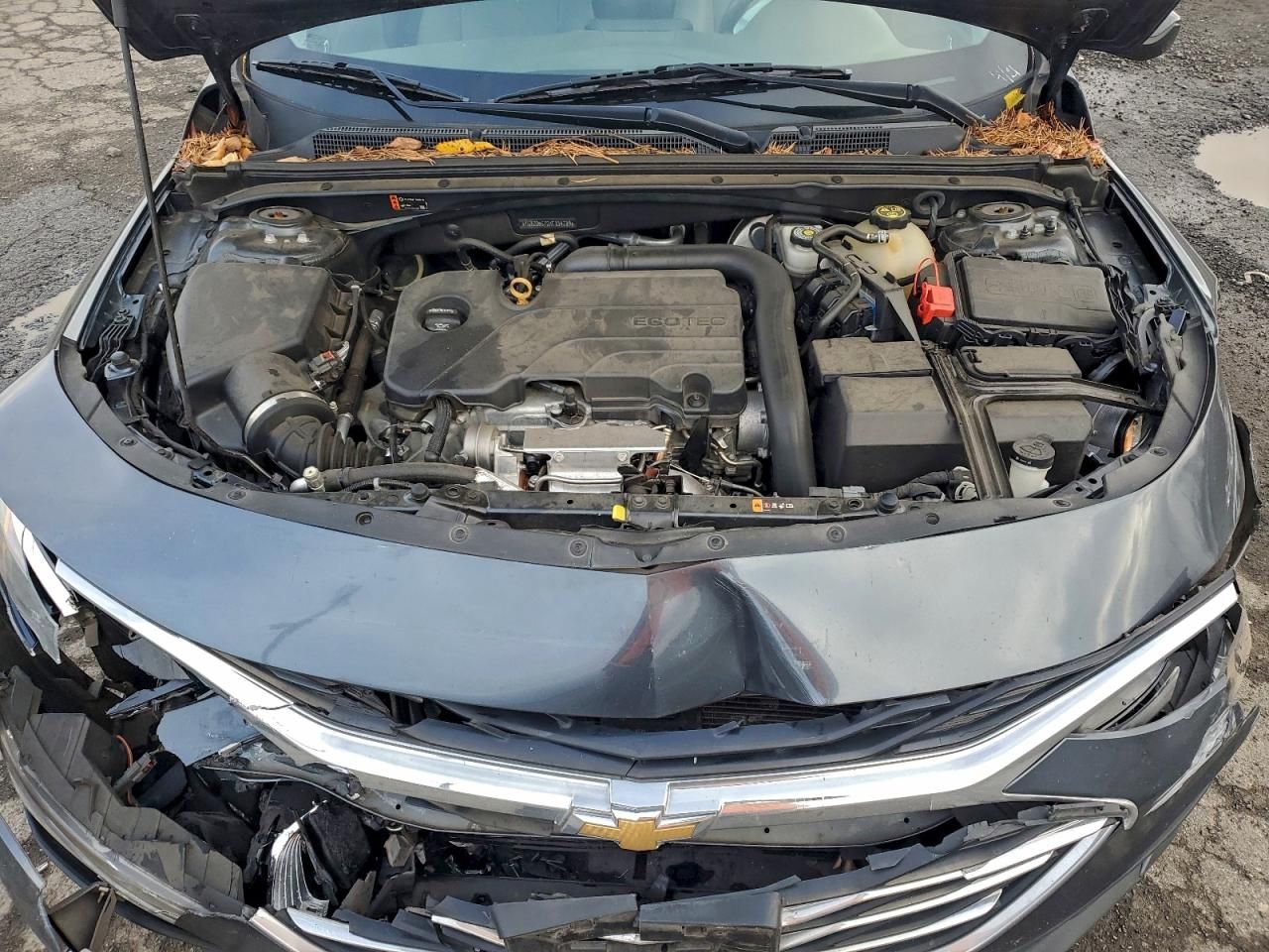 2019 Chevrolet Malibu lt